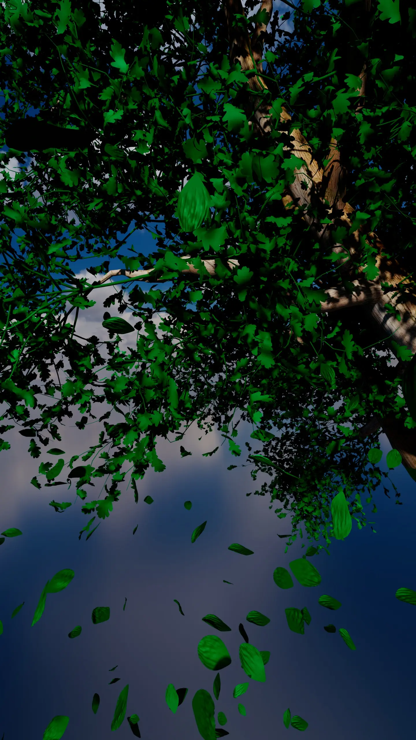 Beauty of Time Passing (Motion Reel) - Image 2