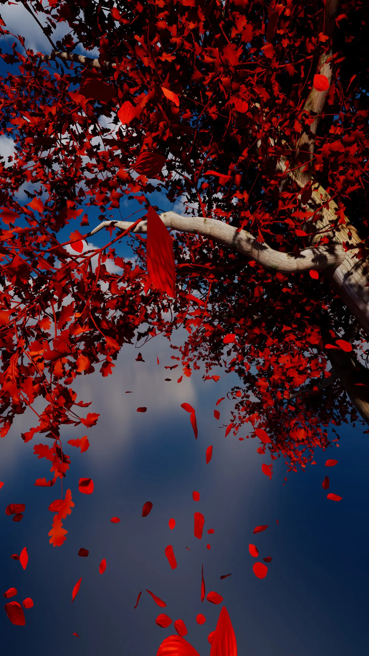 Beauty of Time Passing (Motion Reel) - Image 3