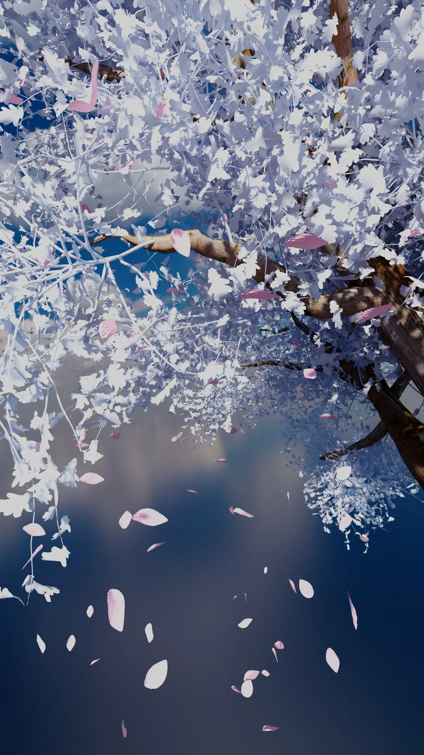 Beauty of Time Passing (Motion Reel) - Image 4