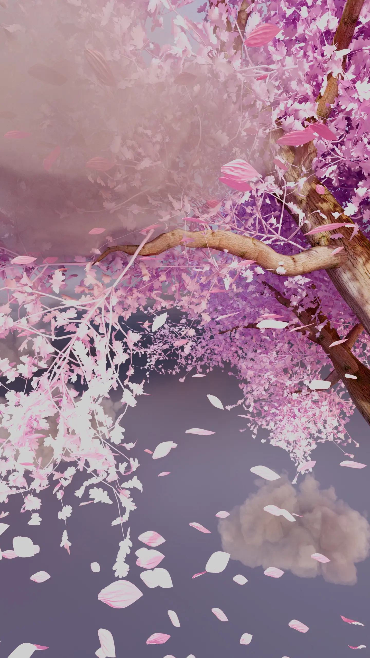 Beauty of Time Passing (Motion Reel) - Image 5