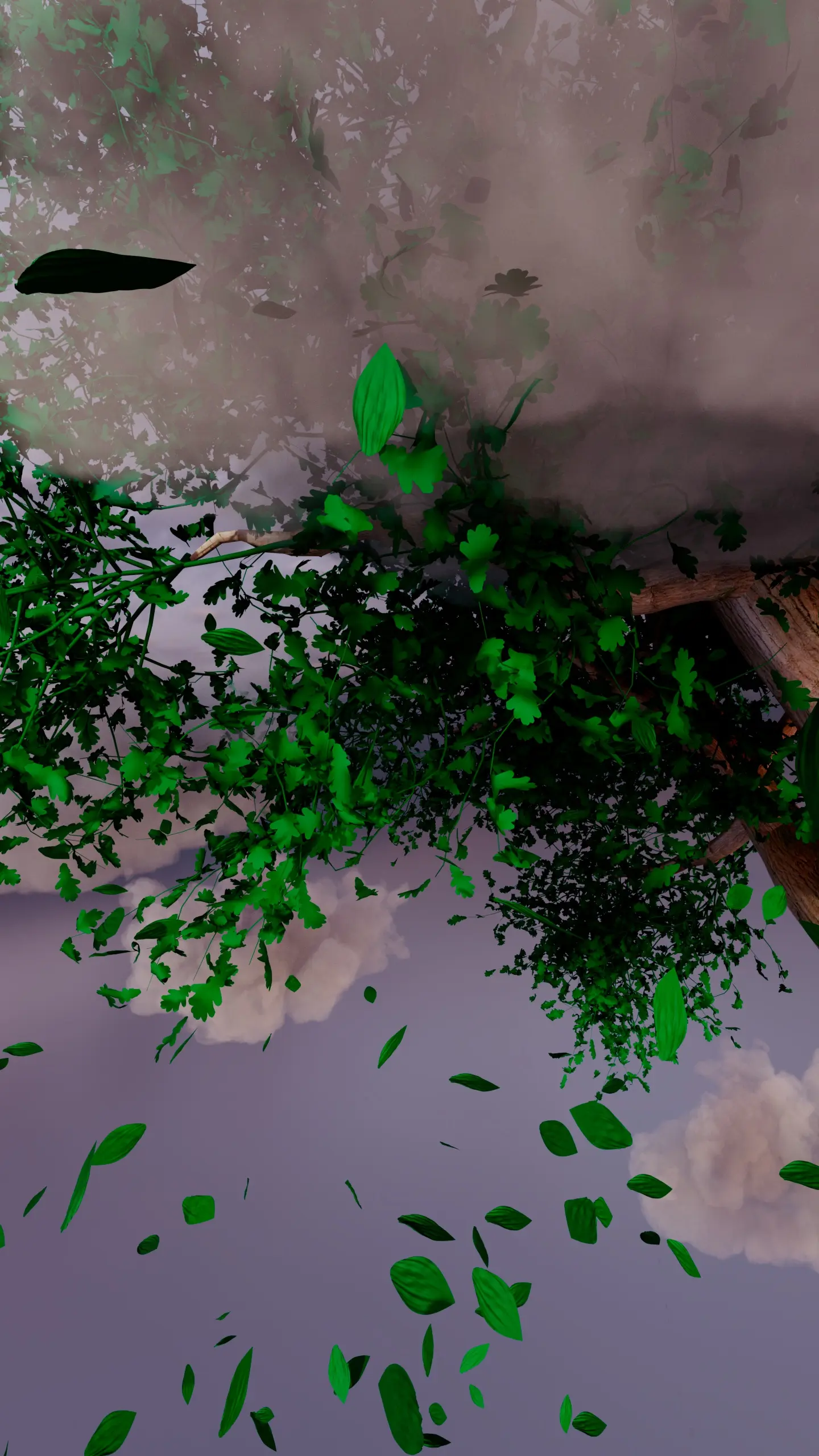 Beauty of Time Passing (Motion Reel) - Image 6