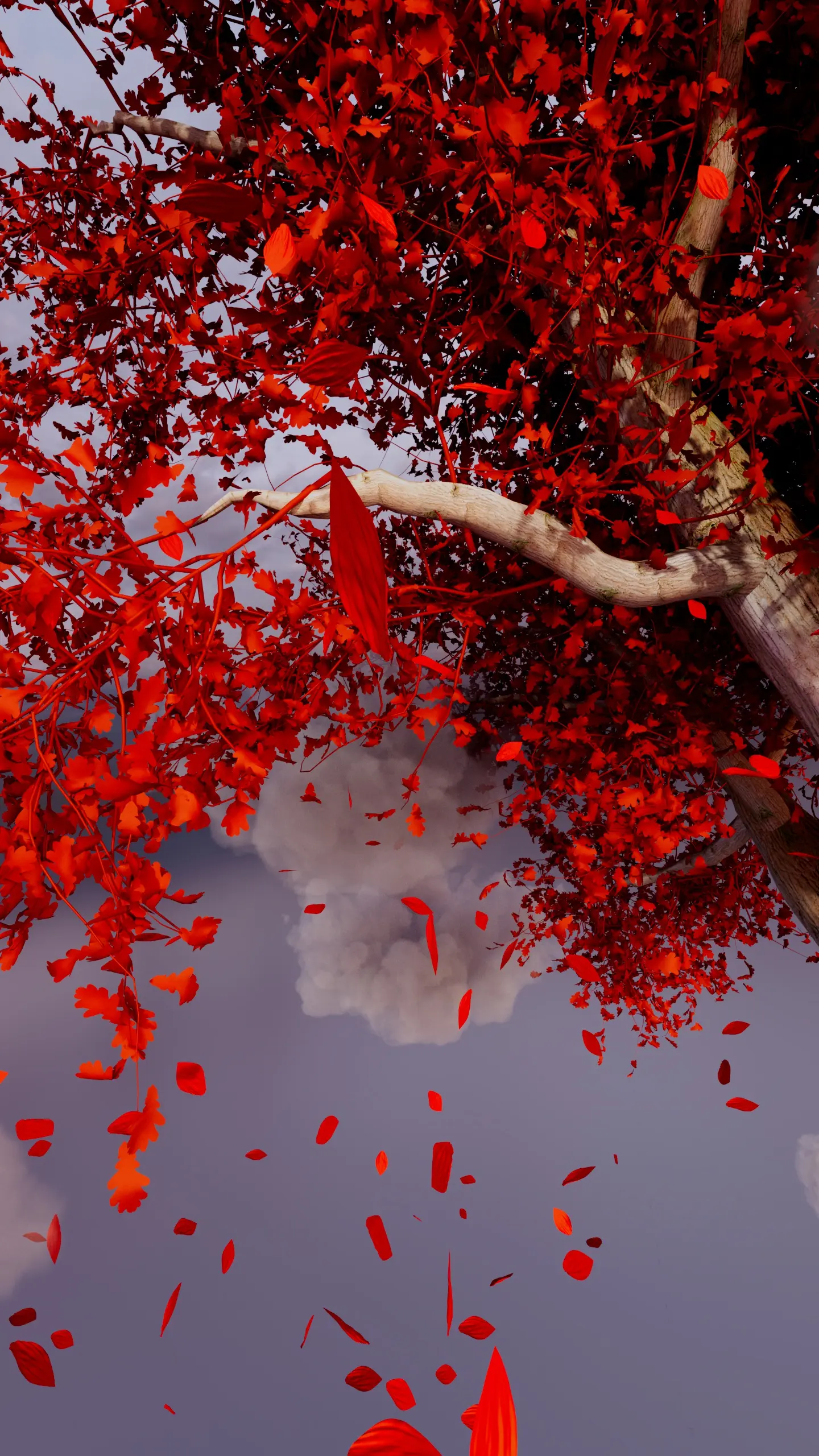 Beauty of Time Passing (Motion Reel) - Image 7