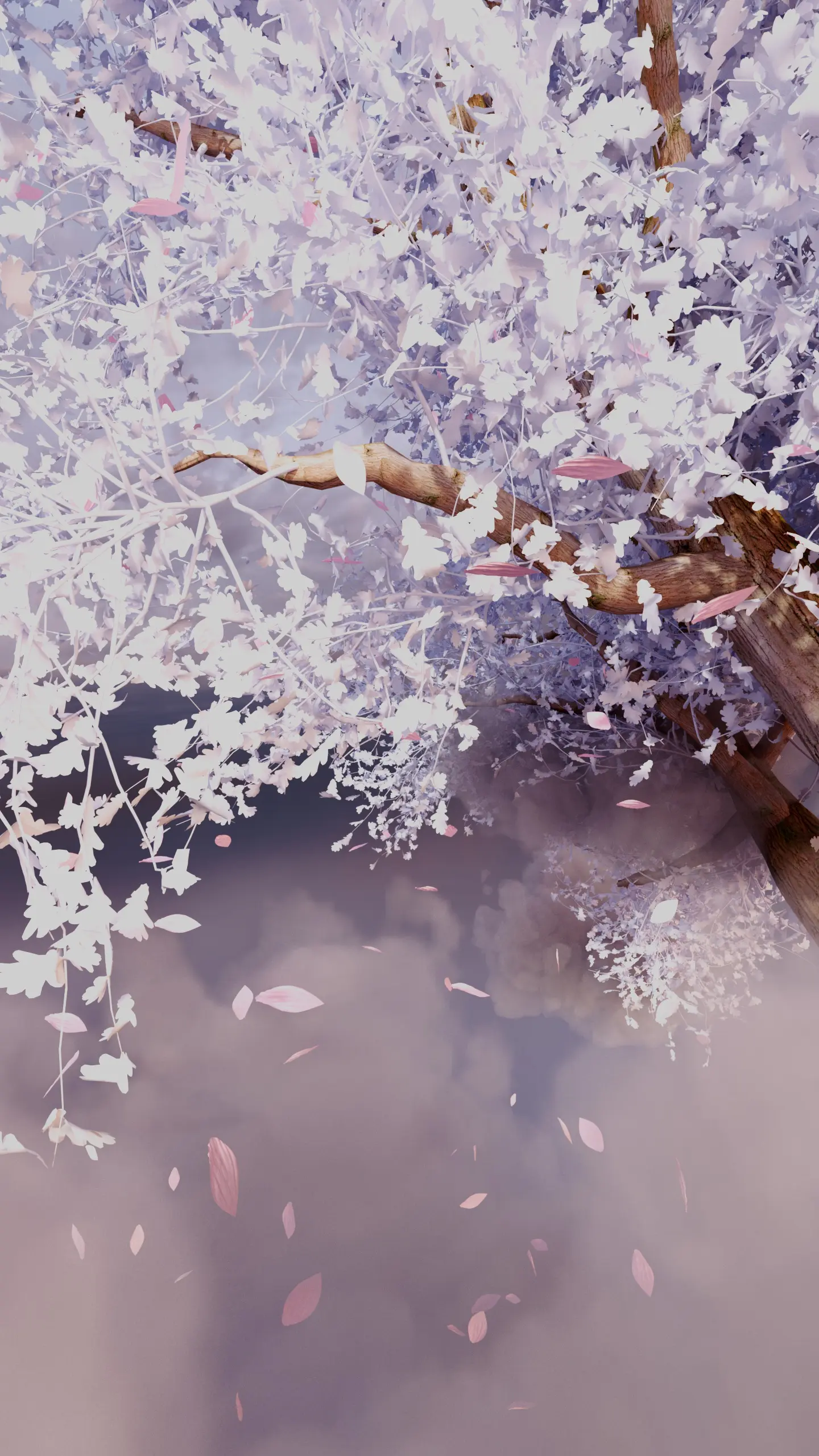 Beauty of Time Passing (Motion Reel) - Image 8