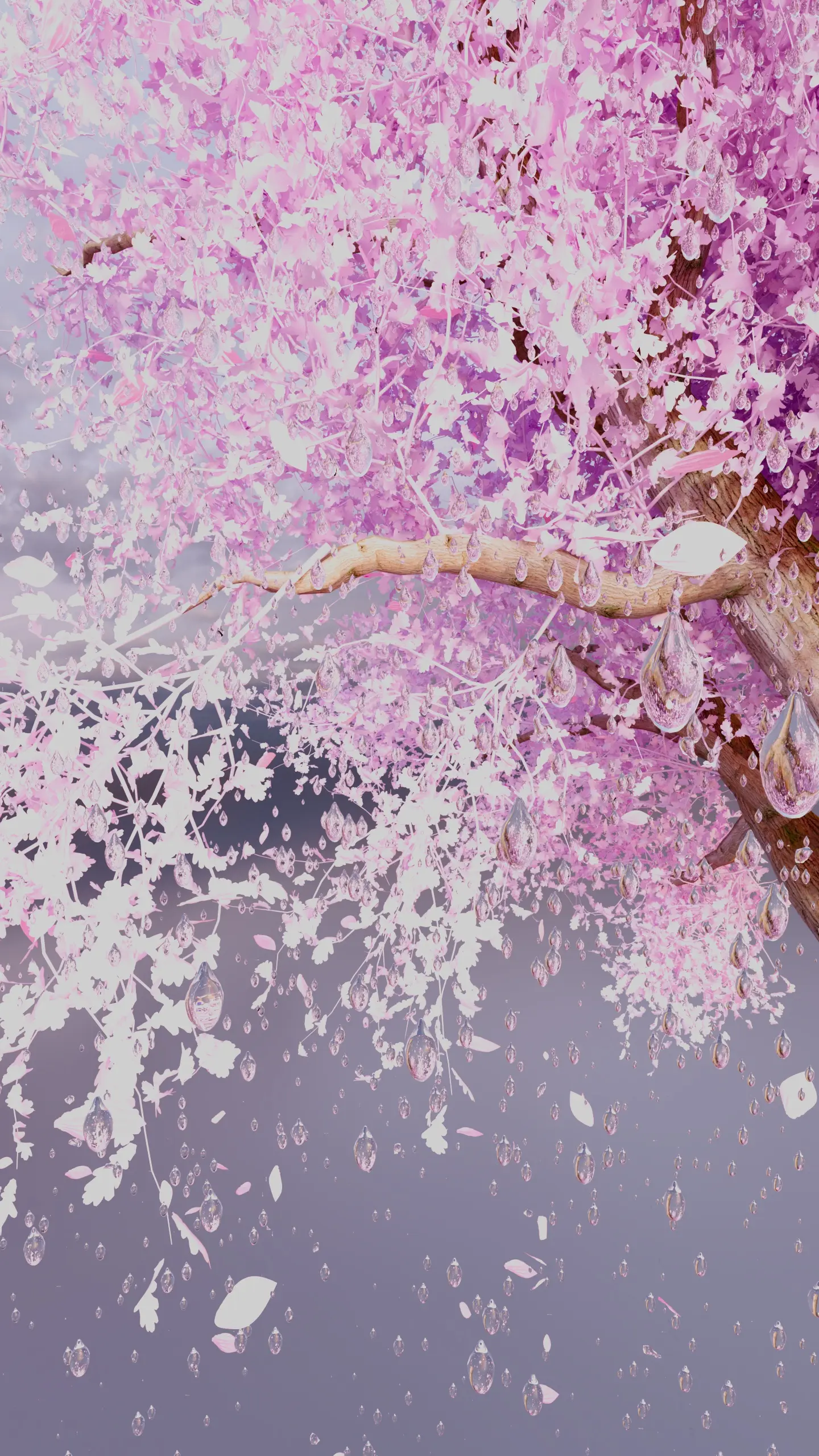 Beauty of Time Passing (Motion Reel) - Image 9